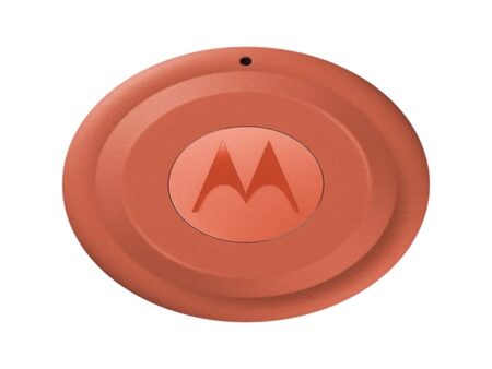 Motorola - Tag - Arabesque and Laurel Oak
